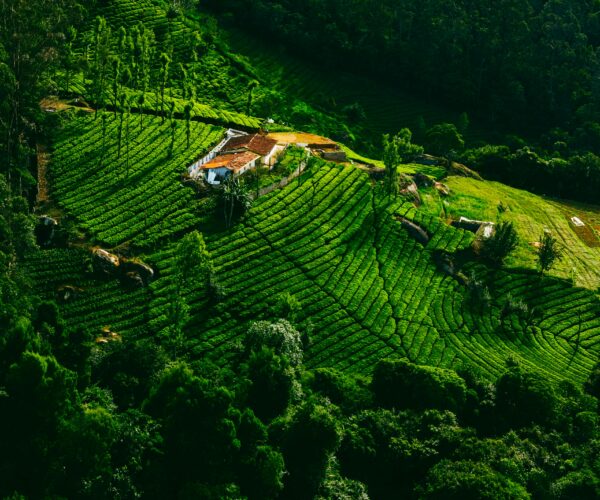 Ooty & Coonoor